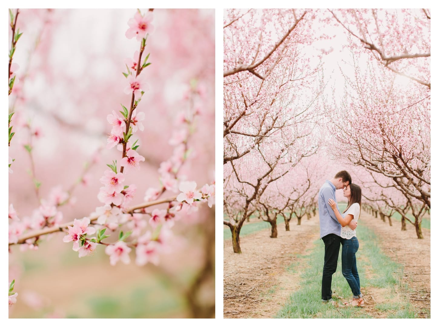 crozet-virginia-proposal-photographer-king-family-vineyards-ali-and-bryan-111