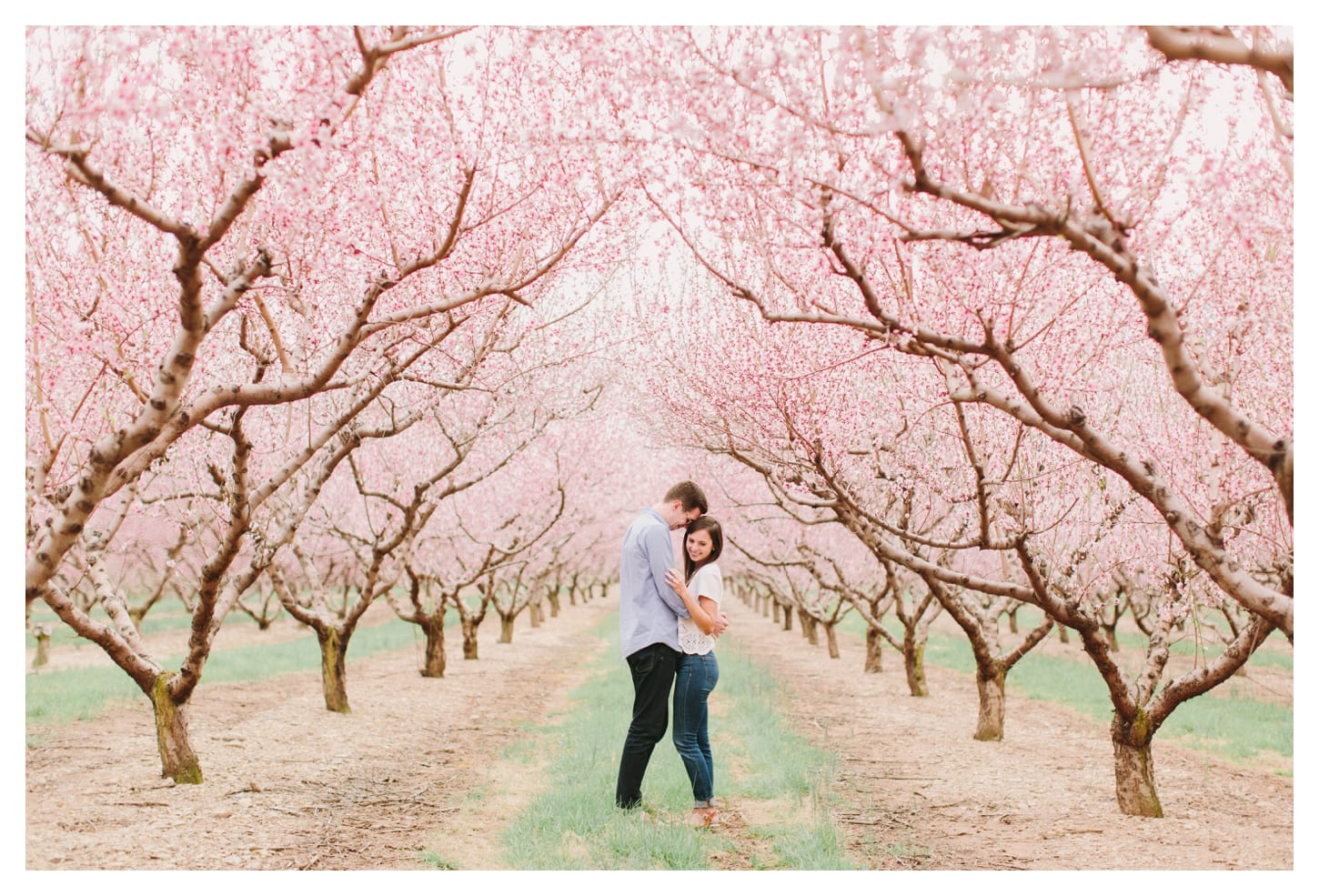 crozet-virginia-proposal-photographer-king-family-vineyards-ali-and-bryan-122