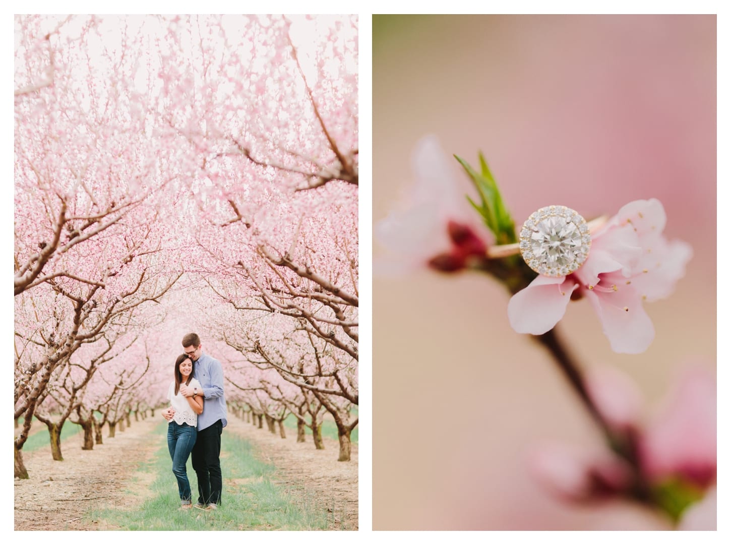 crozet-virginia-proposal-photographer-king-family-vineyards-ali-and-bryan-154