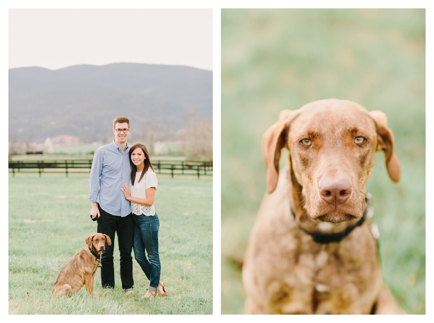 crozet-virginia-proposal-photographer-king-family-vineyards-ali-and-bryan-28