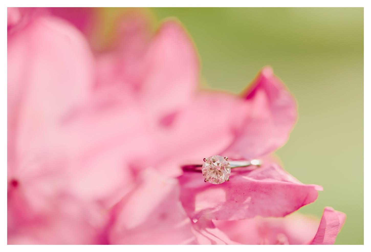 bedford-virginia-engagement-photographer-peaks-of-otter-allison-and-davis-109