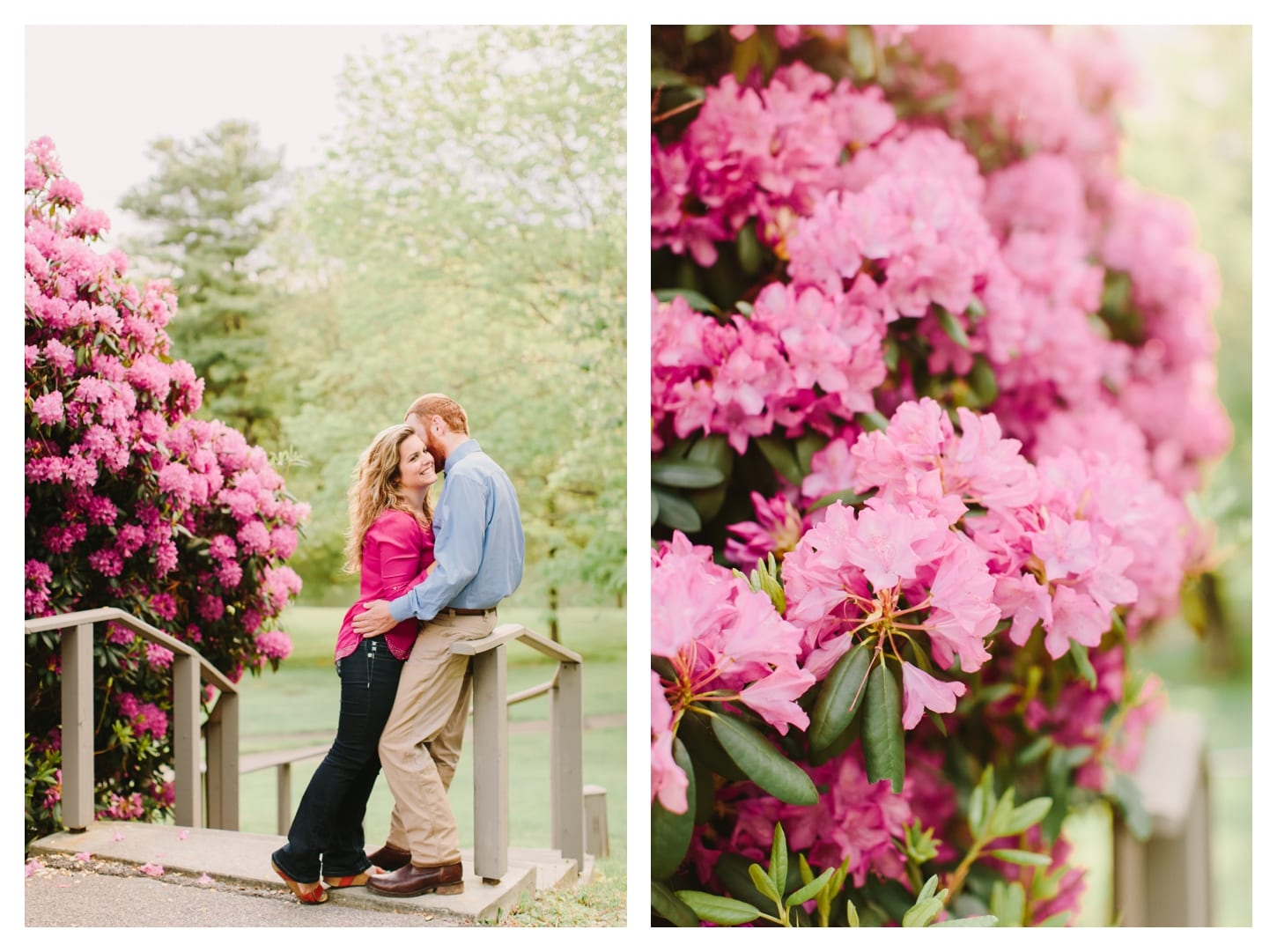 bedford-virginia-engagement-photographer-peaks-of-otter-allison-and-davis-84