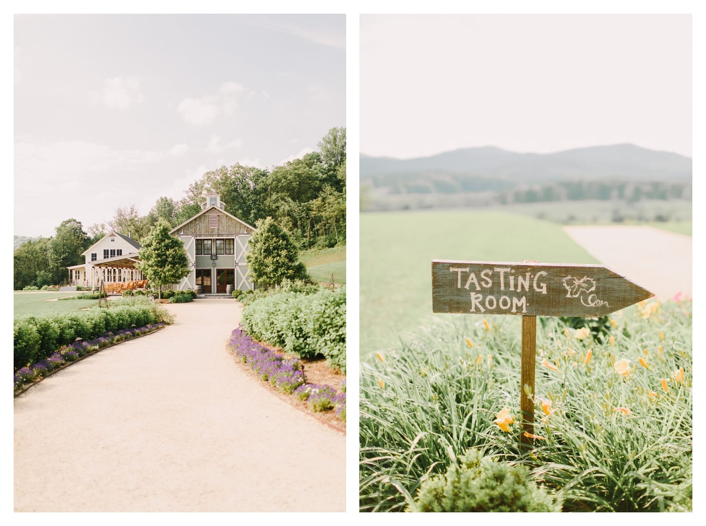 charlottesville-virginia-proposal-photographer-pippin-hill-farm-lesya-and-pat-3