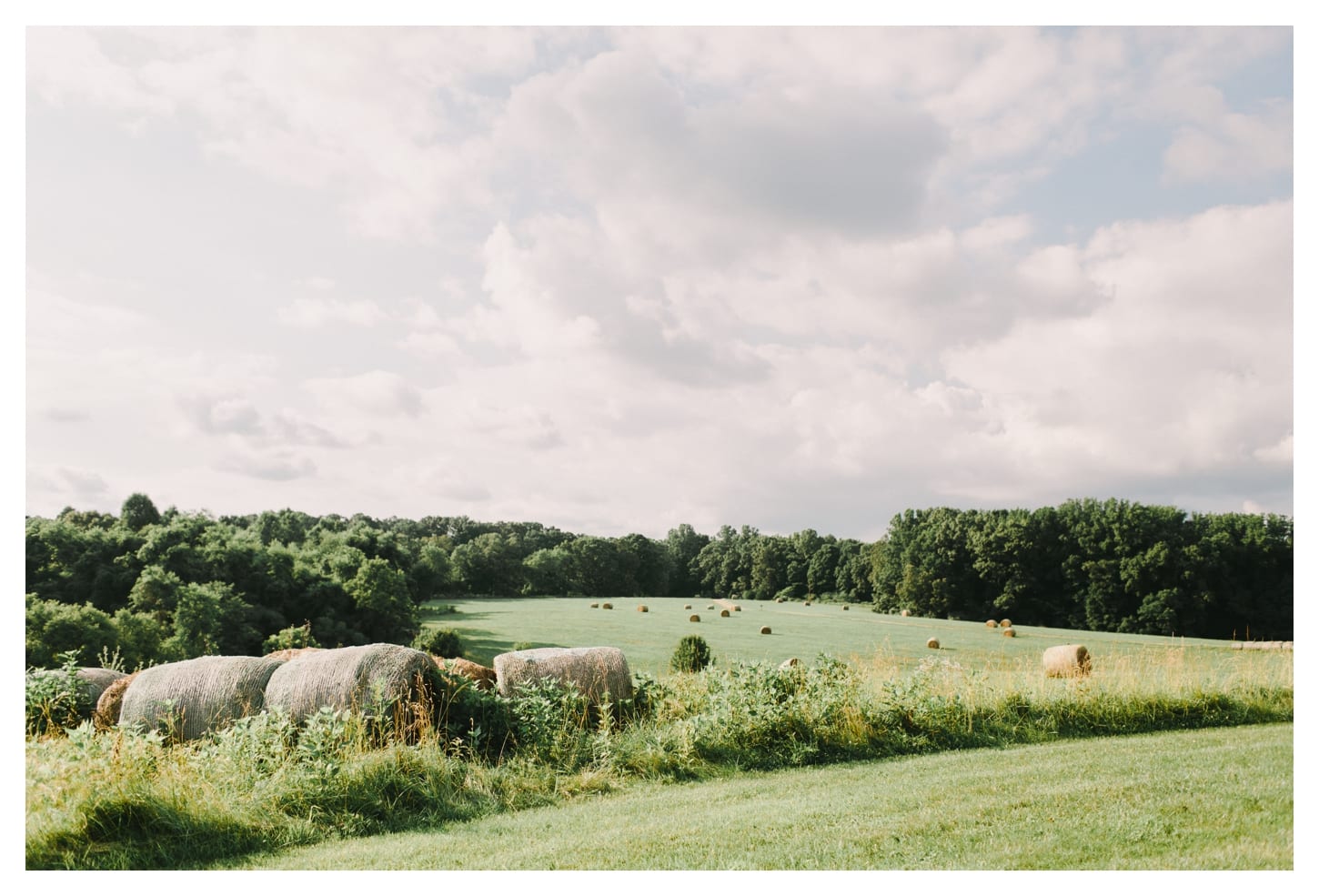 charlottesville-virginia-film-wedding-photographer-panorama-farm-maddie-and-lee-643