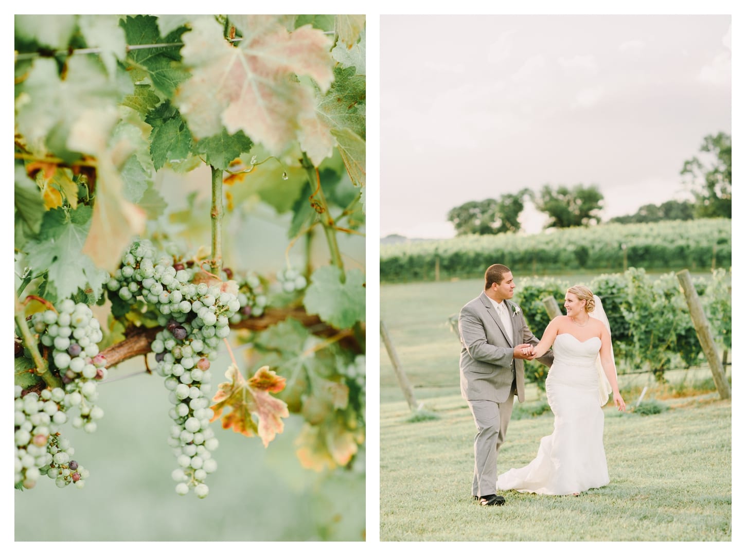 harrisonburg-virginia-wedding-photographer-cross-keys-vineyards-jenna-and-marcus-527