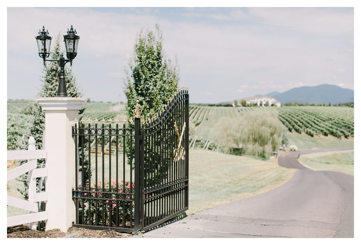 harrisonburg-virginia-wedding-photographer-cross-keys-vineyards-meera-and-nicholas-3