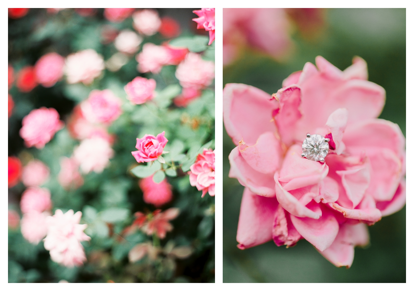 charlottesville-virginia-film-engagement-photographer-veritas-winery-megan-and-marc-66