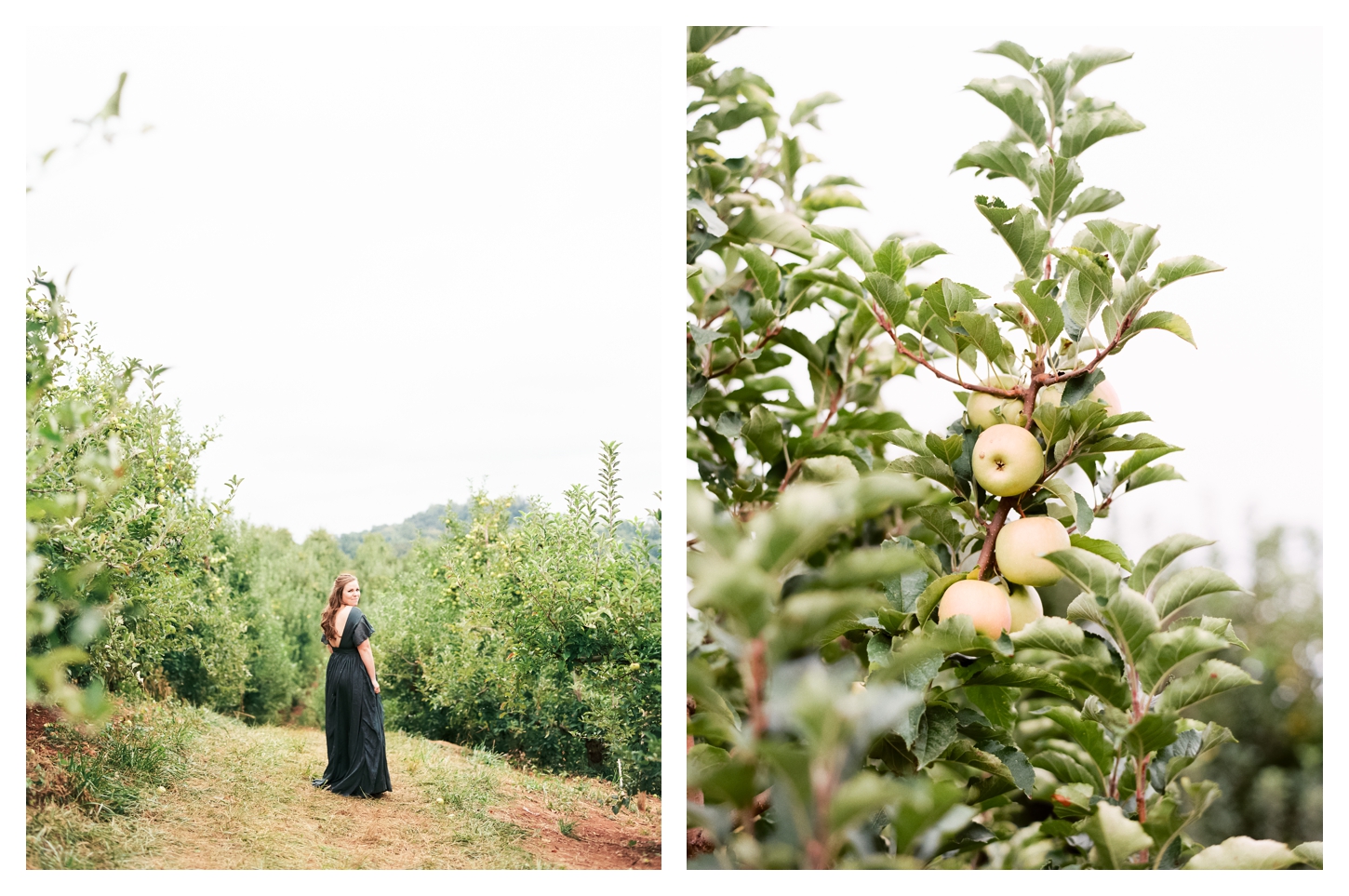 Charlottesville Virginia Film Portrait Photographer