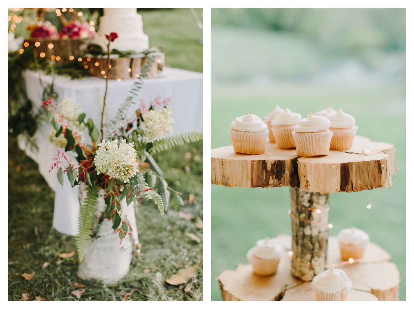 Hot Springs Virginia Elopement Photographer