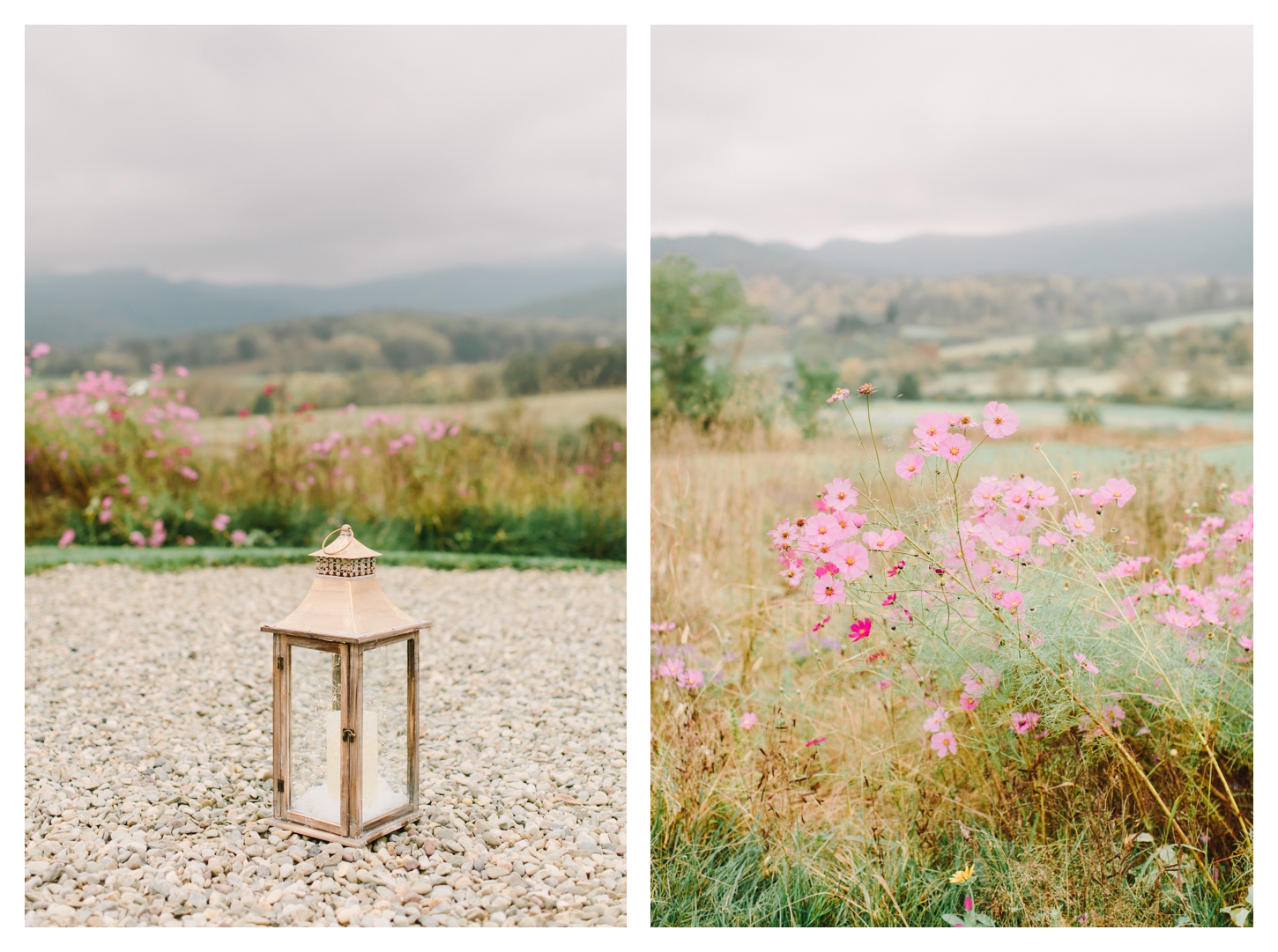 Pippin Hill Farm Proposal Photographer