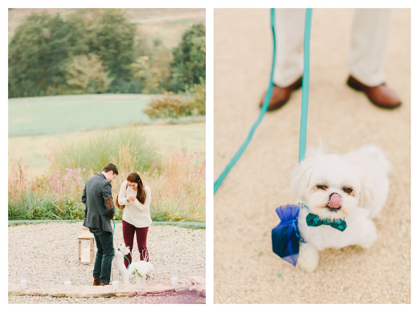 Pippin Hill Farm Proposal Photographer