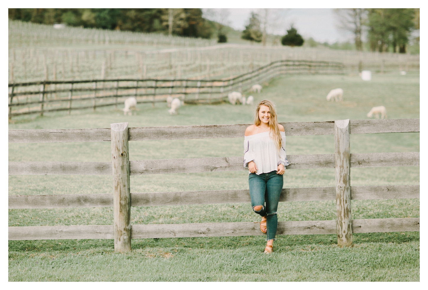 Afton Virginia senior portrait photographer