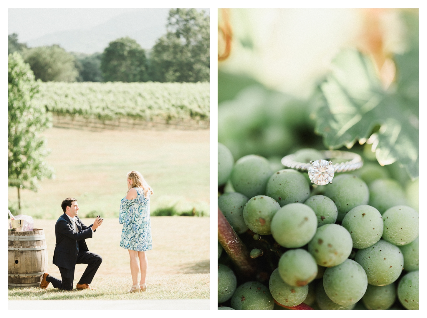 Veritas Winery Film Proposal Photographer