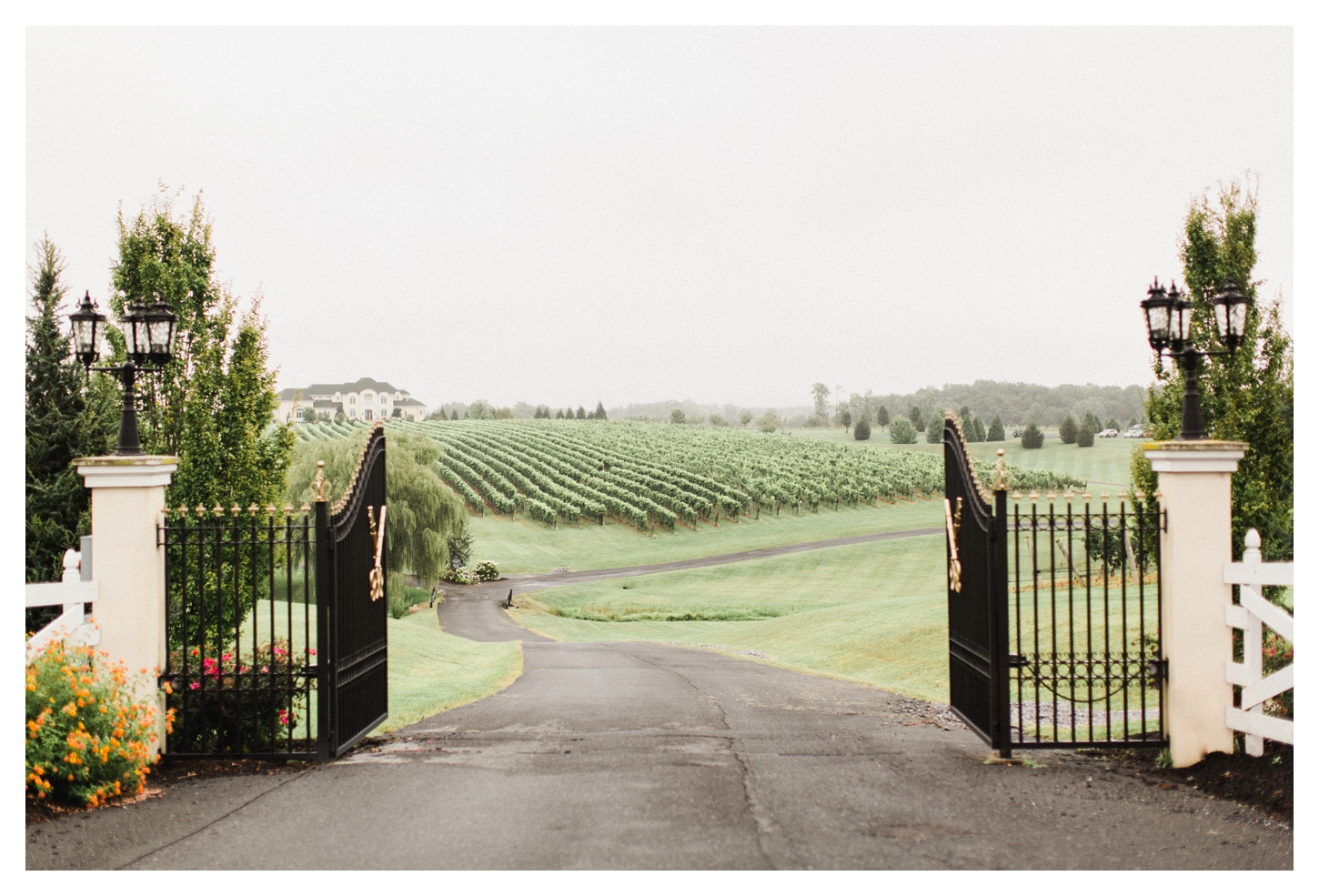 Cross Keys Vineyards Wedding Photographer