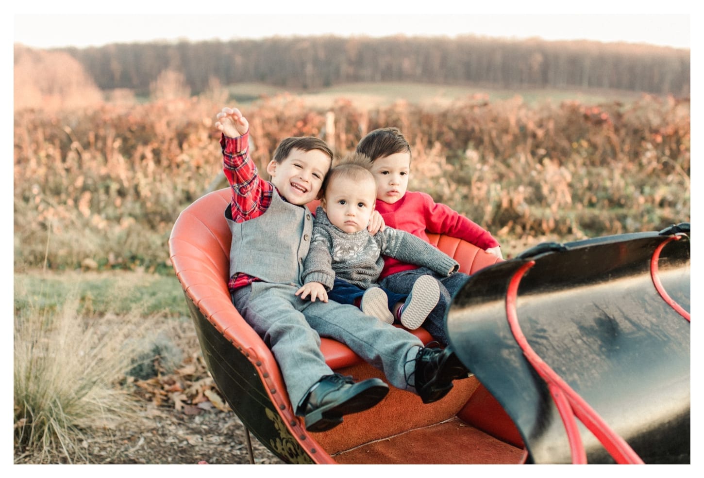 Market At Grelen family portrait photographer