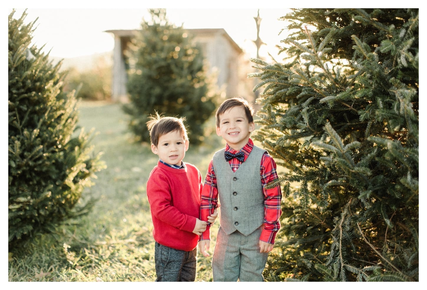 Market At Grelen family portrait photographer