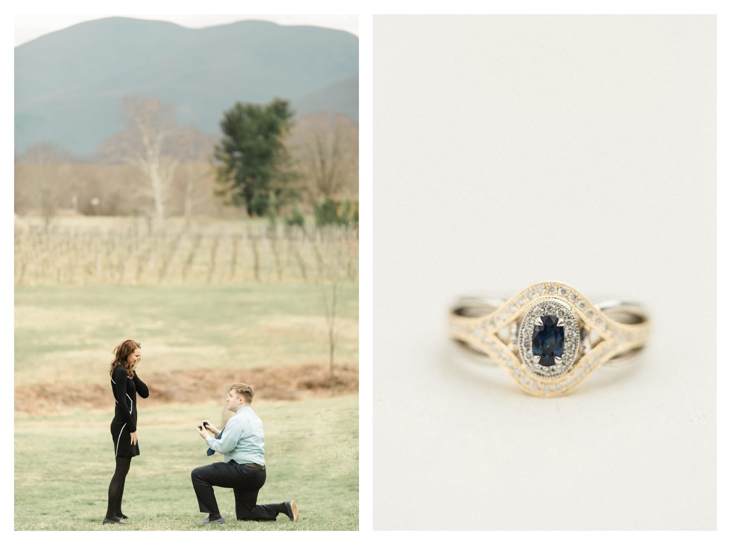 Veritas Winery proposal photographer