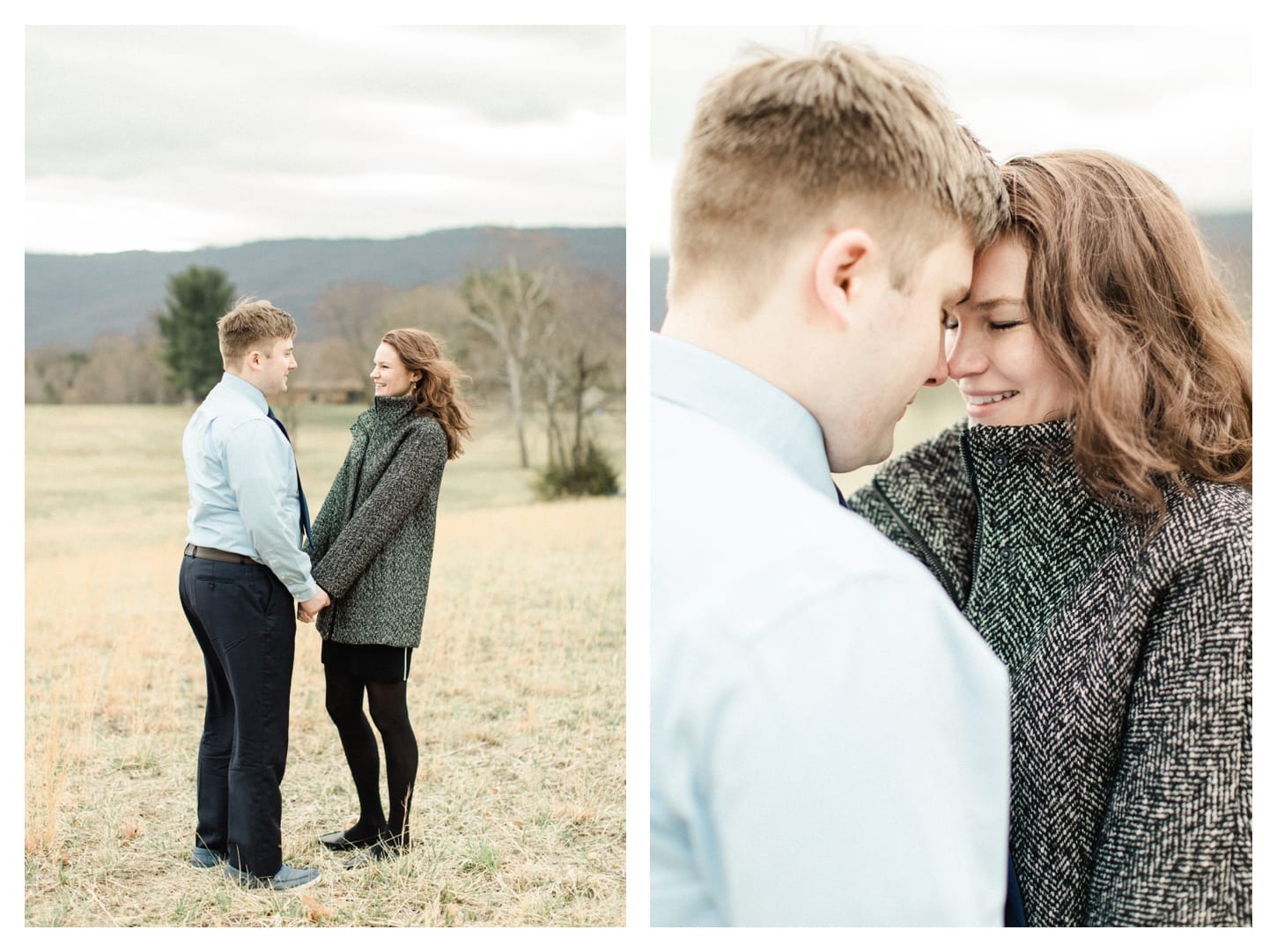 Veritas Winery proposal photographer