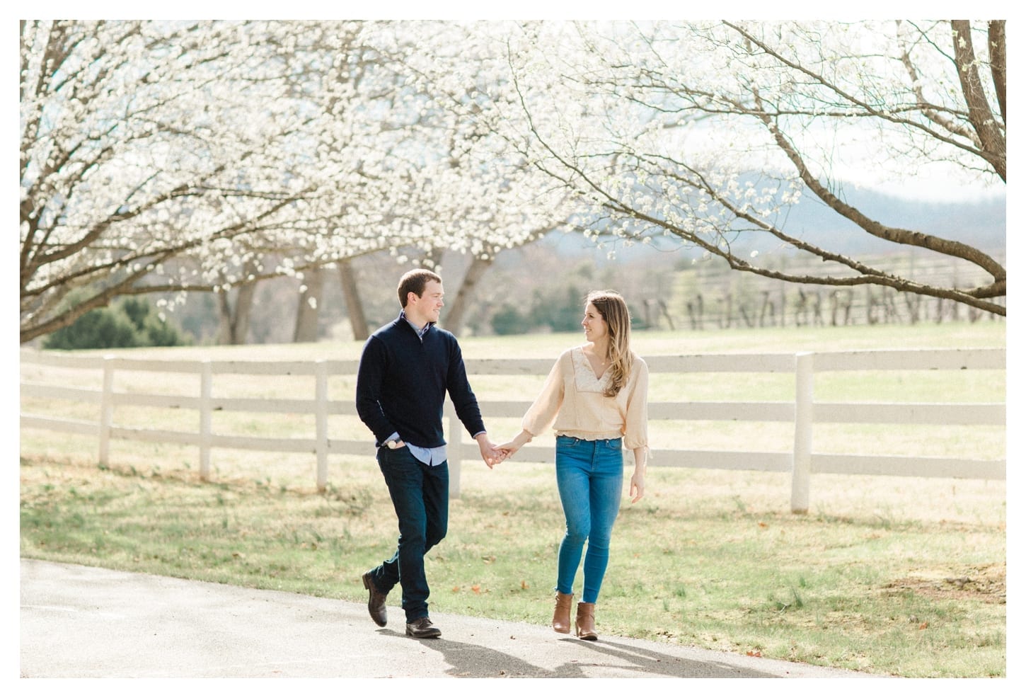 Keswick Vineyards proposal photographer