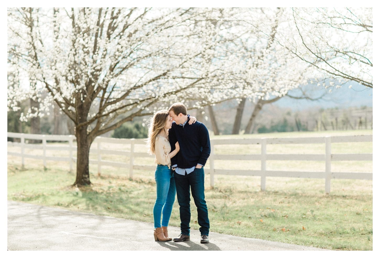 Keswick Vineyards proposal photographer