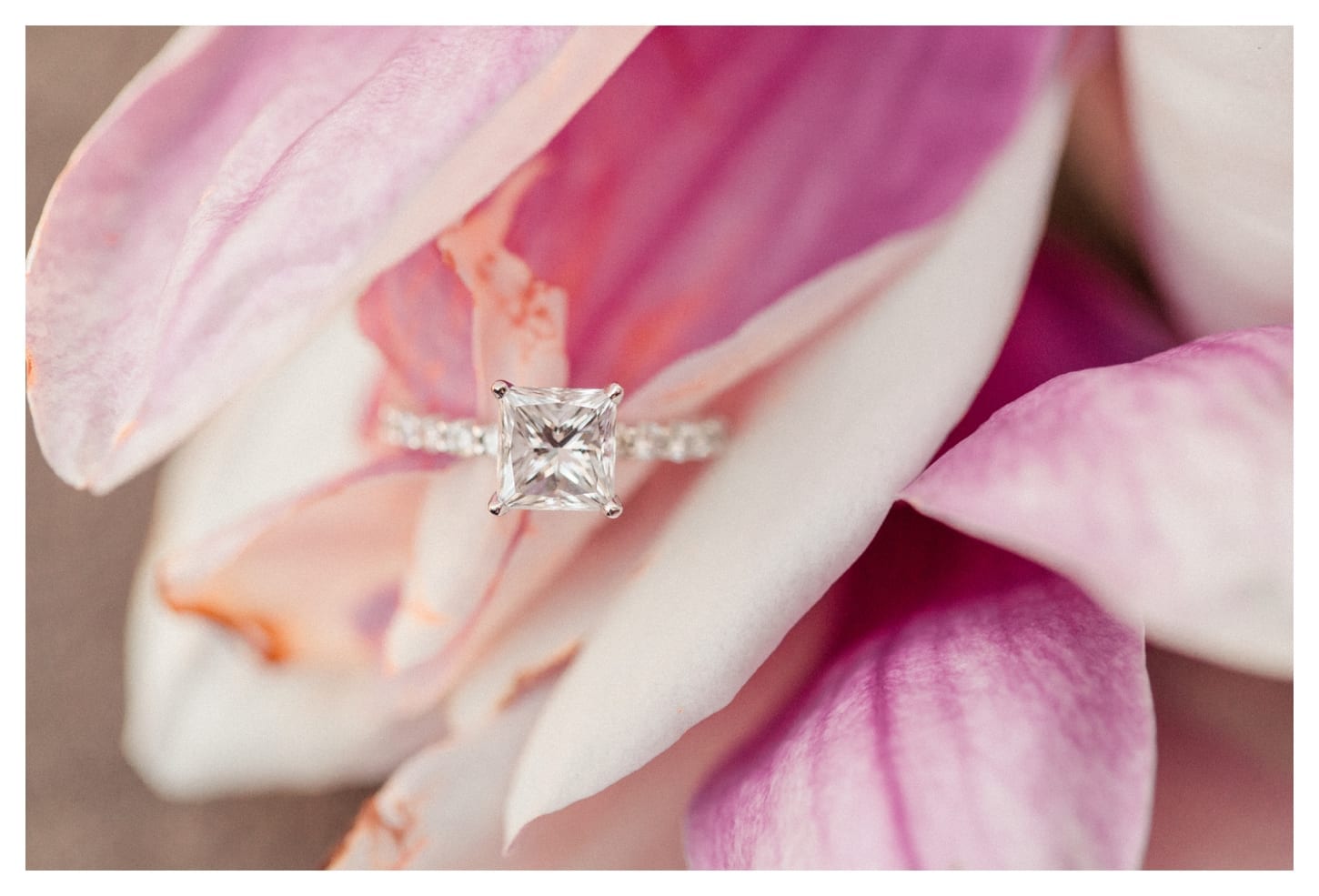 Georgetown engagement photographer