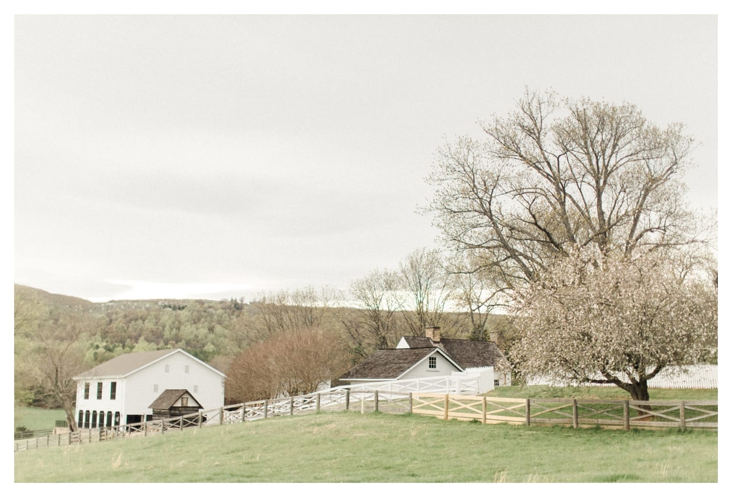 Ash Lawn Highland wedding photographer