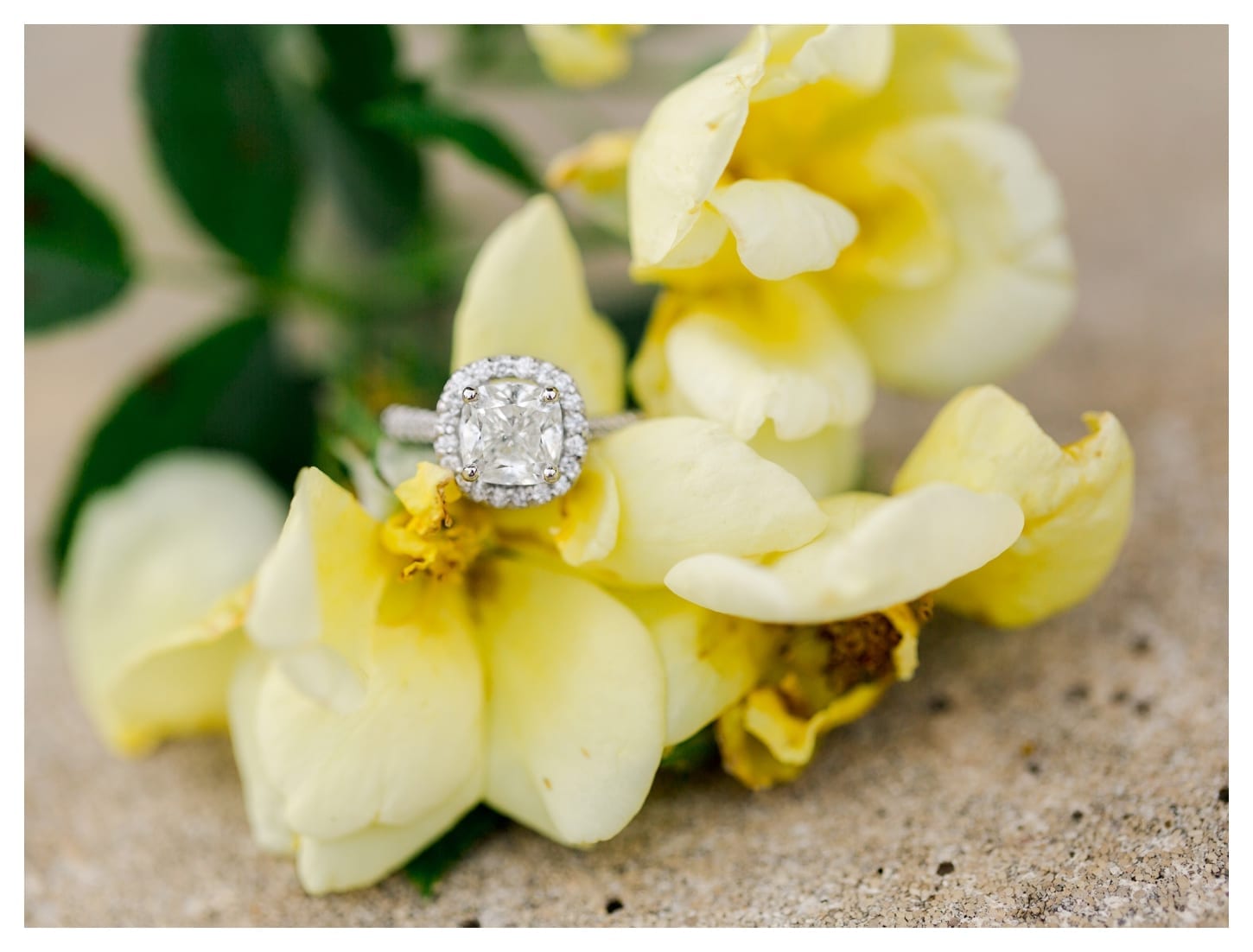 Early Mountain Vineyards proposal photographer