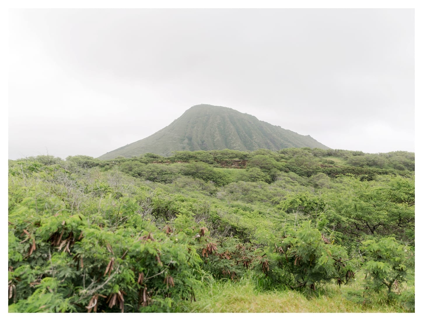 Hawaii photographer