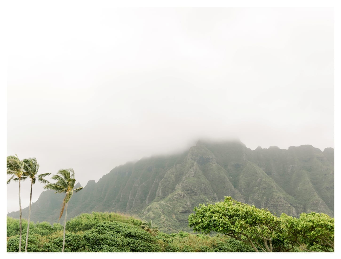 Hawaii photographer