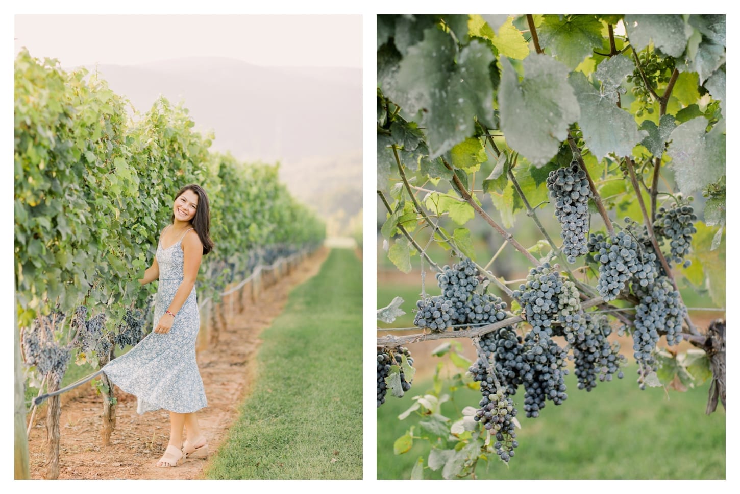 King Family Vineyards senior portrait photographer