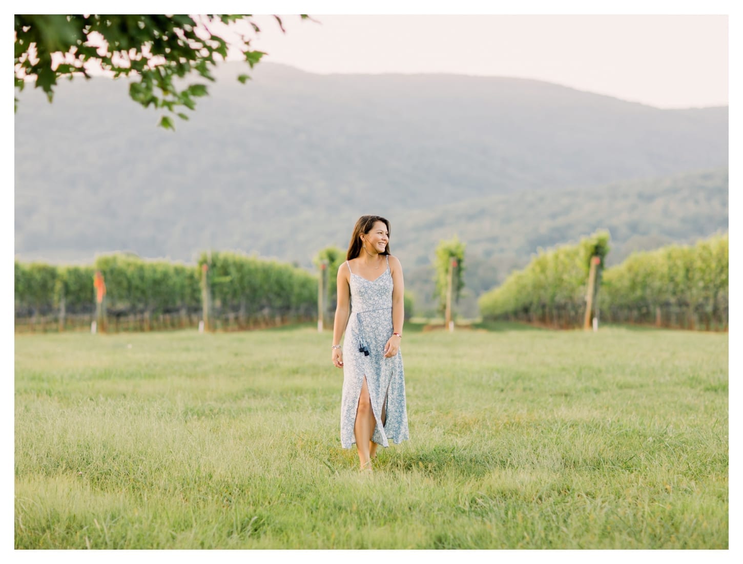 King Family Vineyards senior portrait photographer