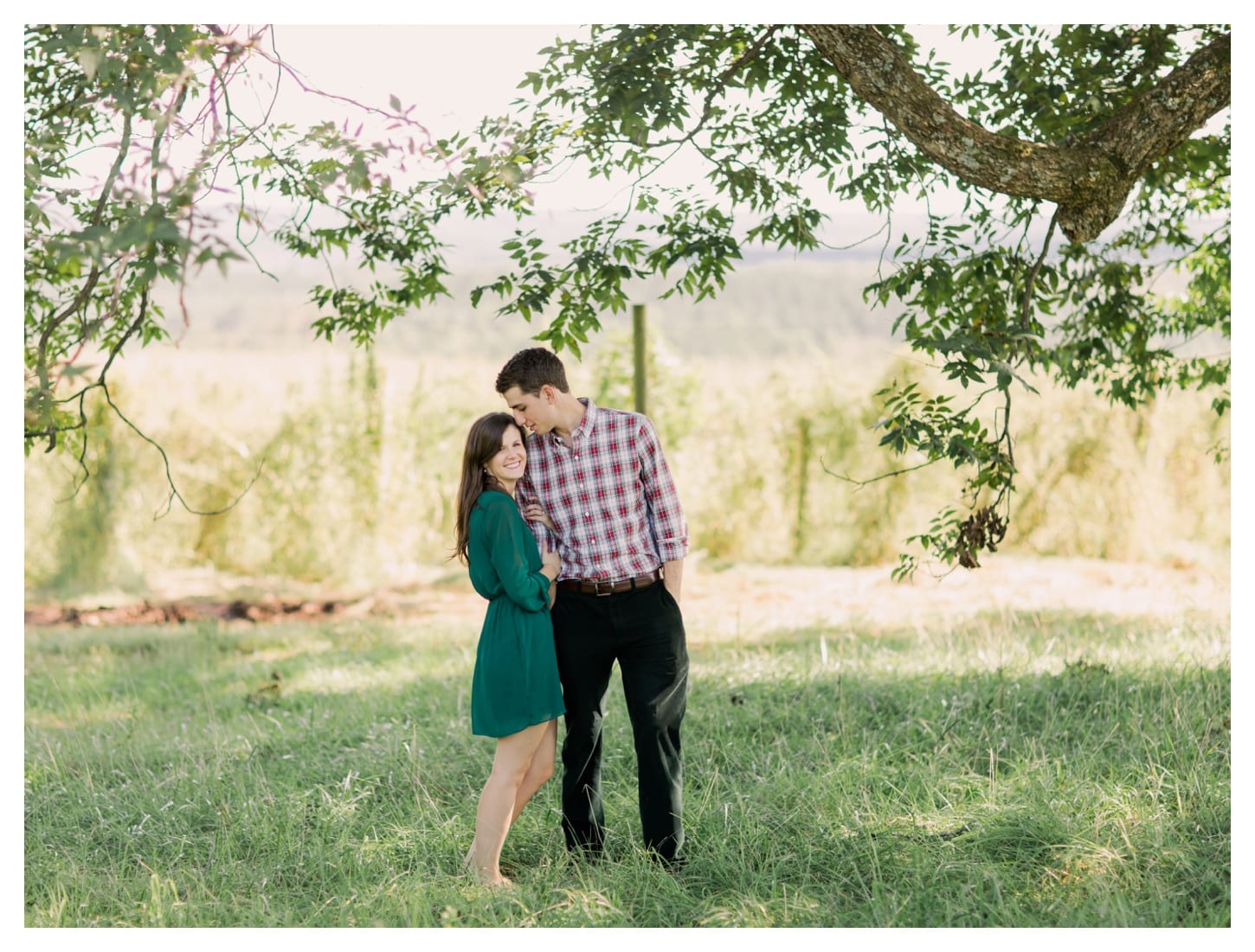 Blenheim Vineyards proposal photographer