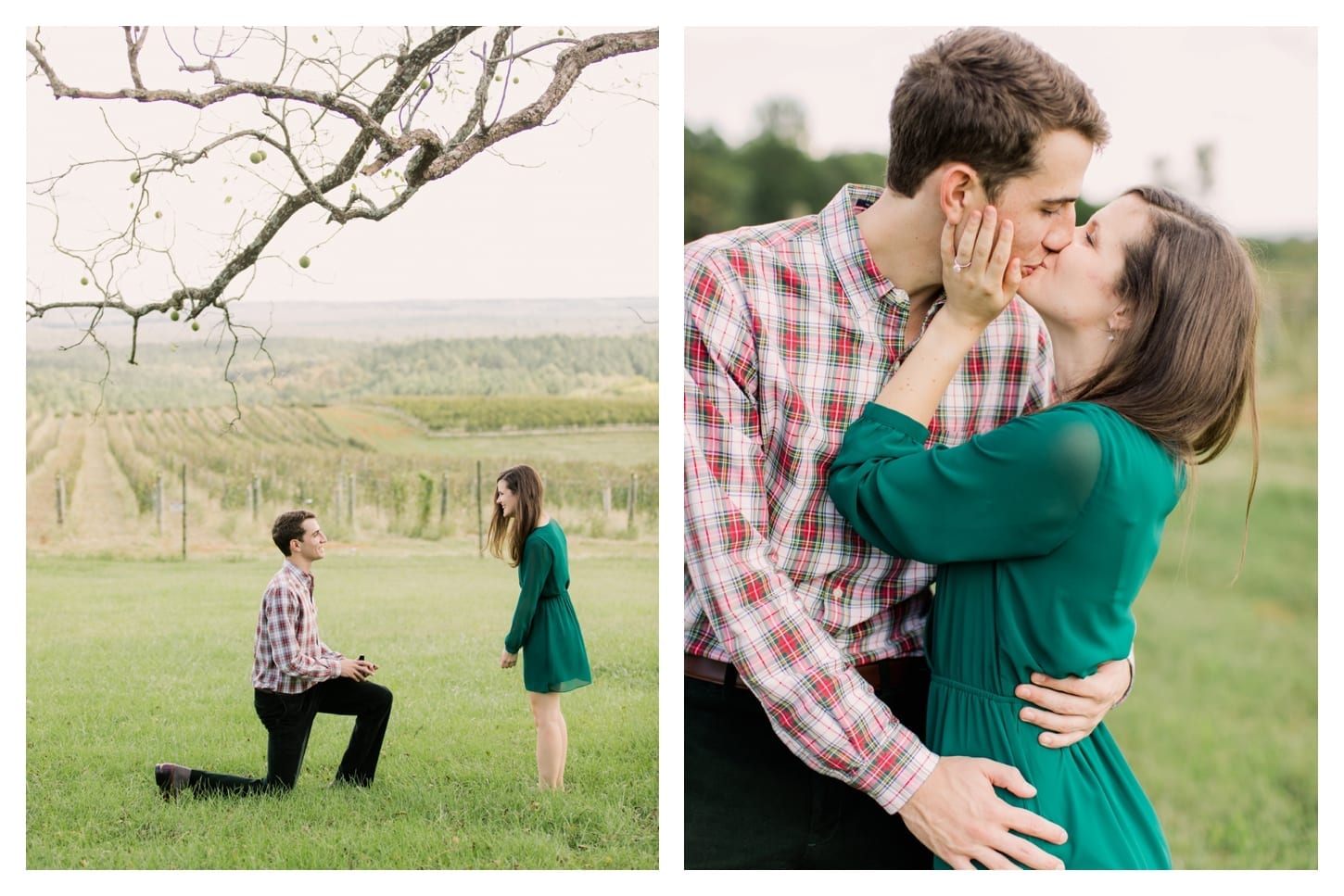 Blenheim Vineyards proposal photographer