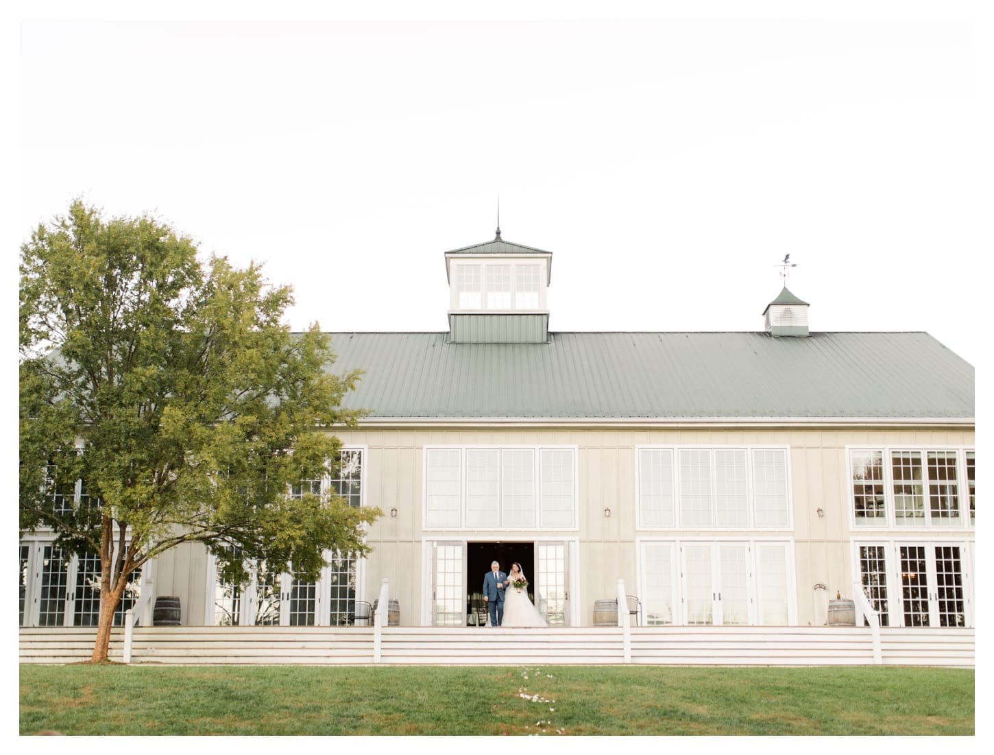 Veritas Winery wedding photographer