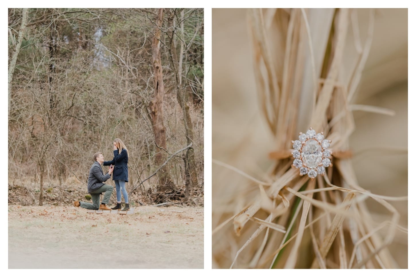 Barn At Edgewood engagement photographer