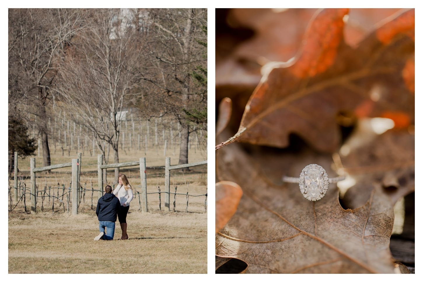 Veritas Winery proposal photographer