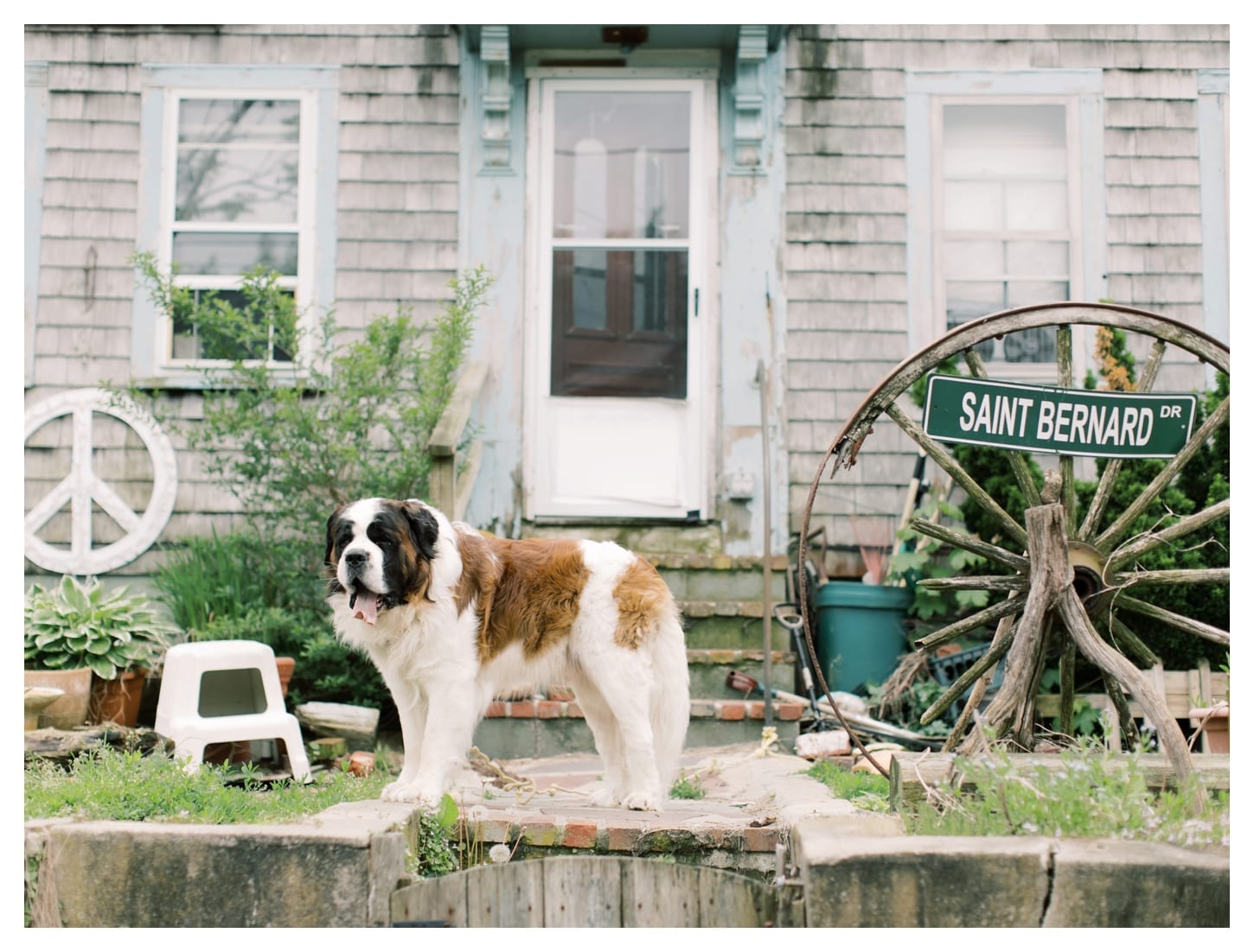 Cape Cod photographer