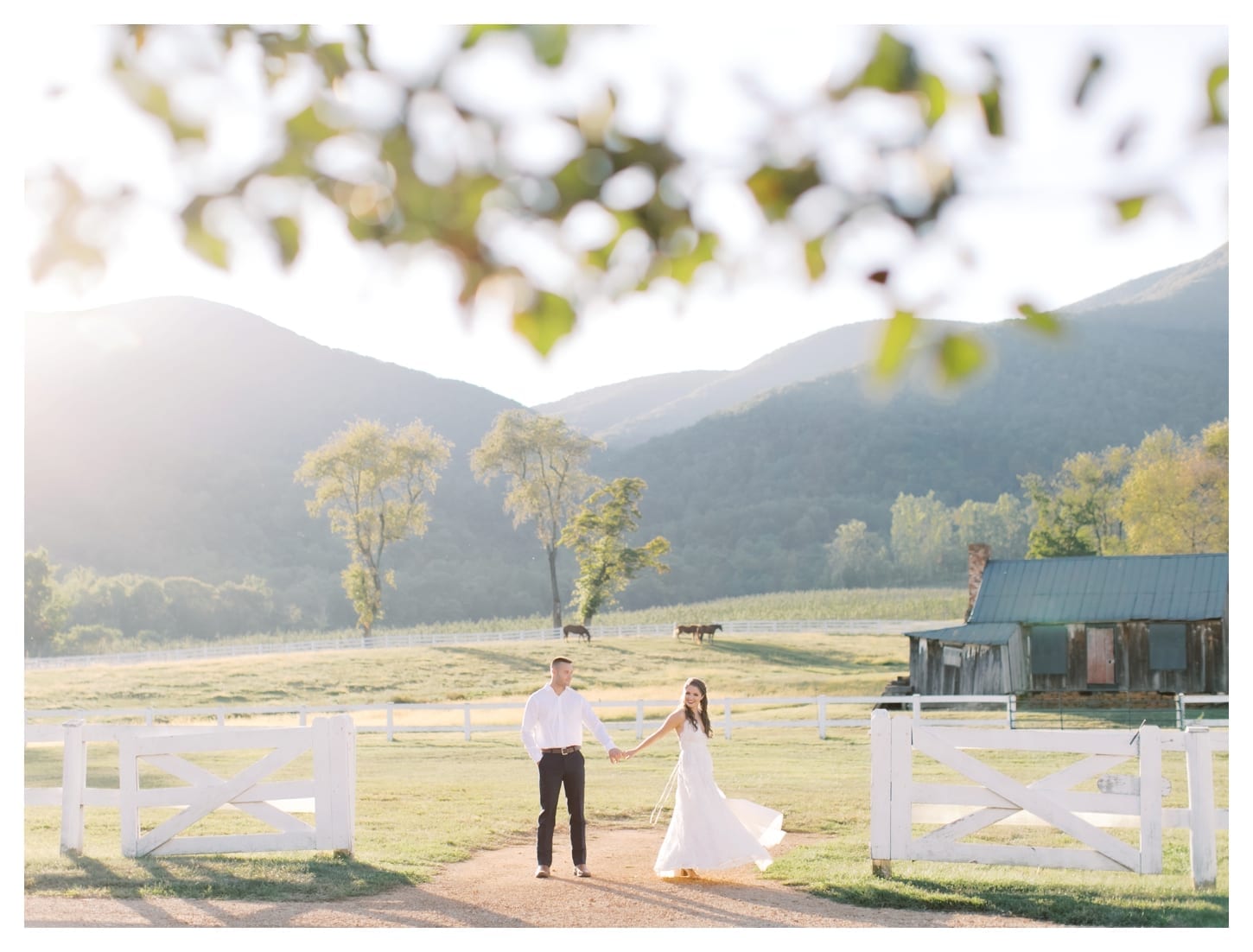 Pharsalia engagement photographer