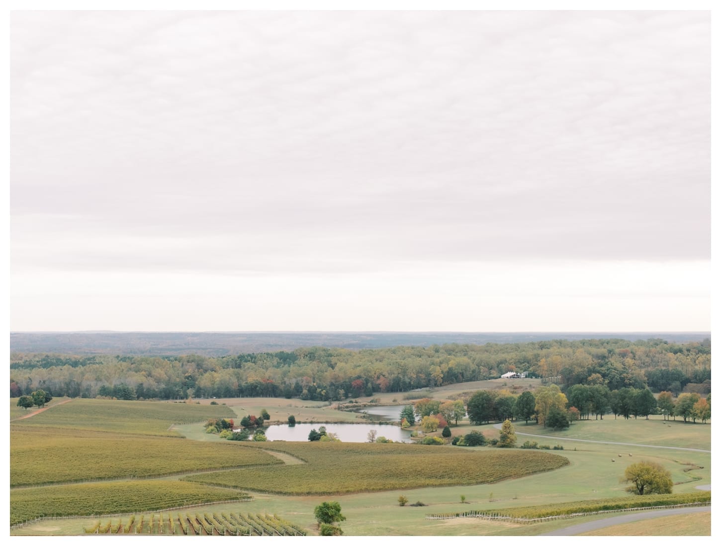 Trump Winery Wedding Photographer