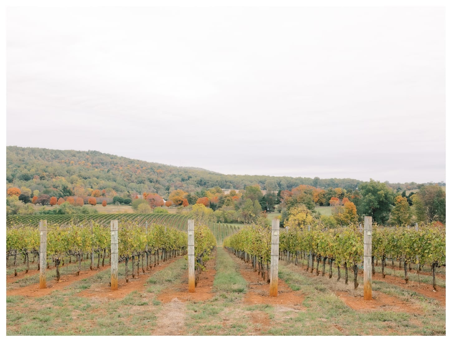 Trump Winery Wedding Photographer