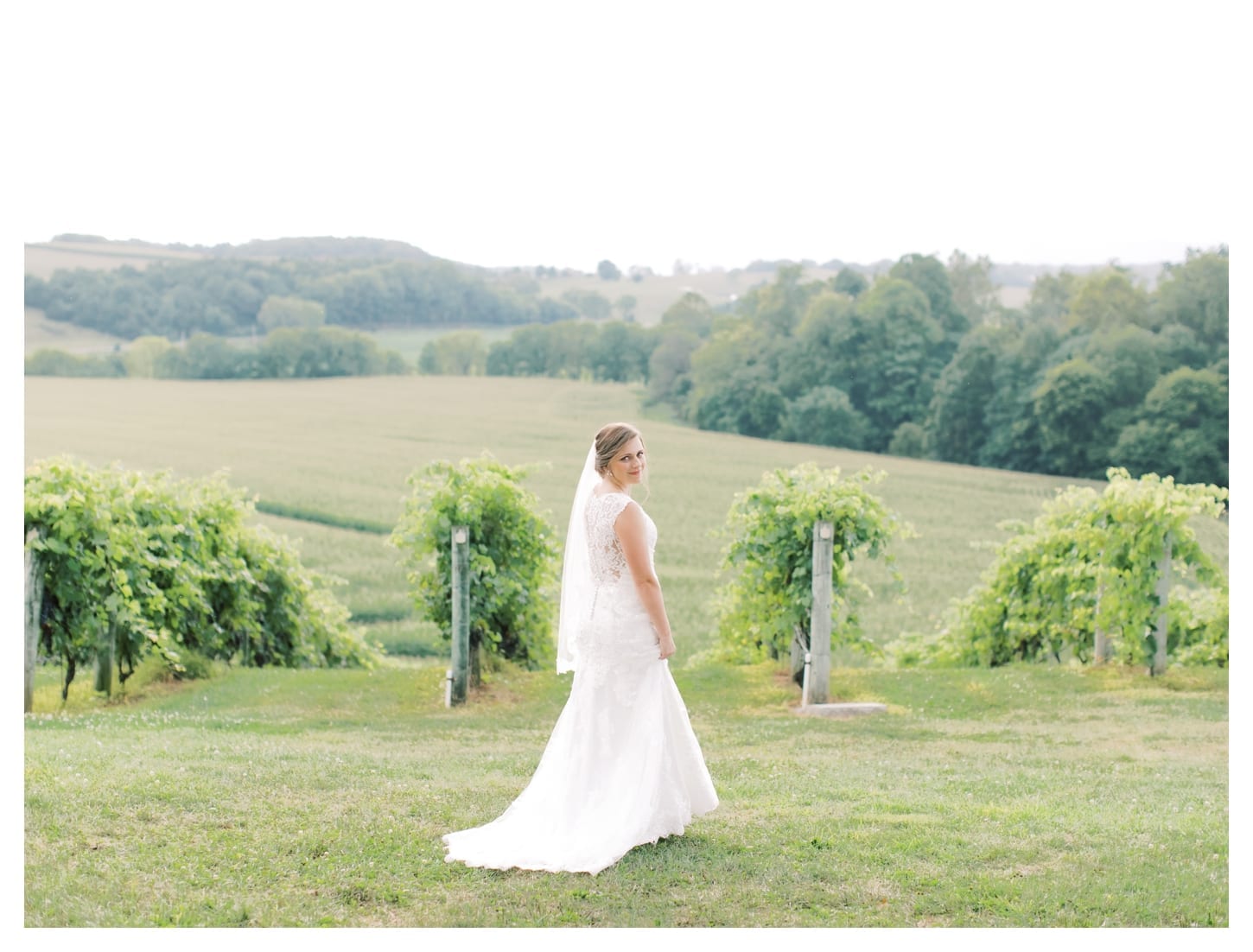 Bluestone Vineyard bridal photographer