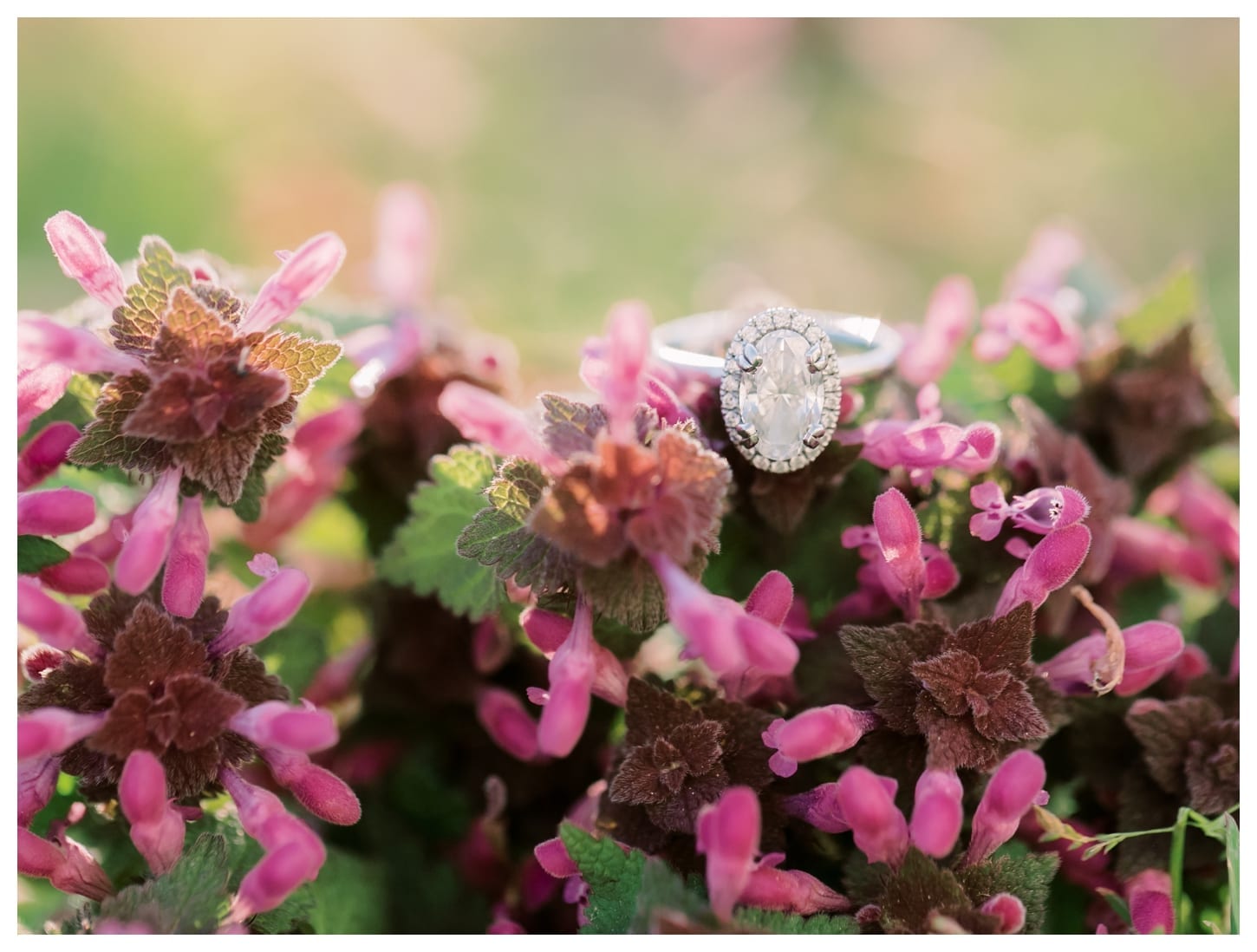 Richmond Virginia engagement photographer