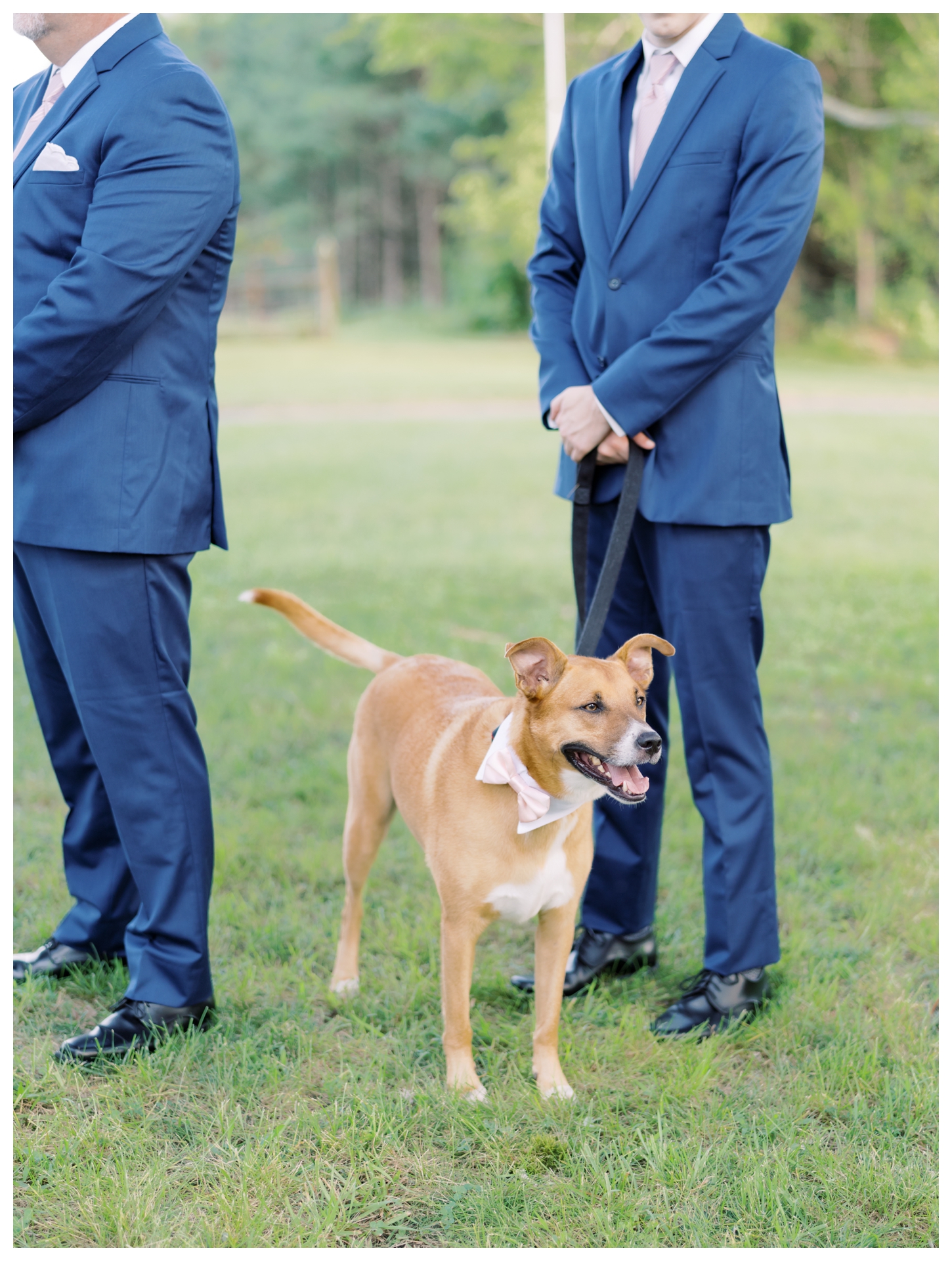 Backyard Covid Wedding