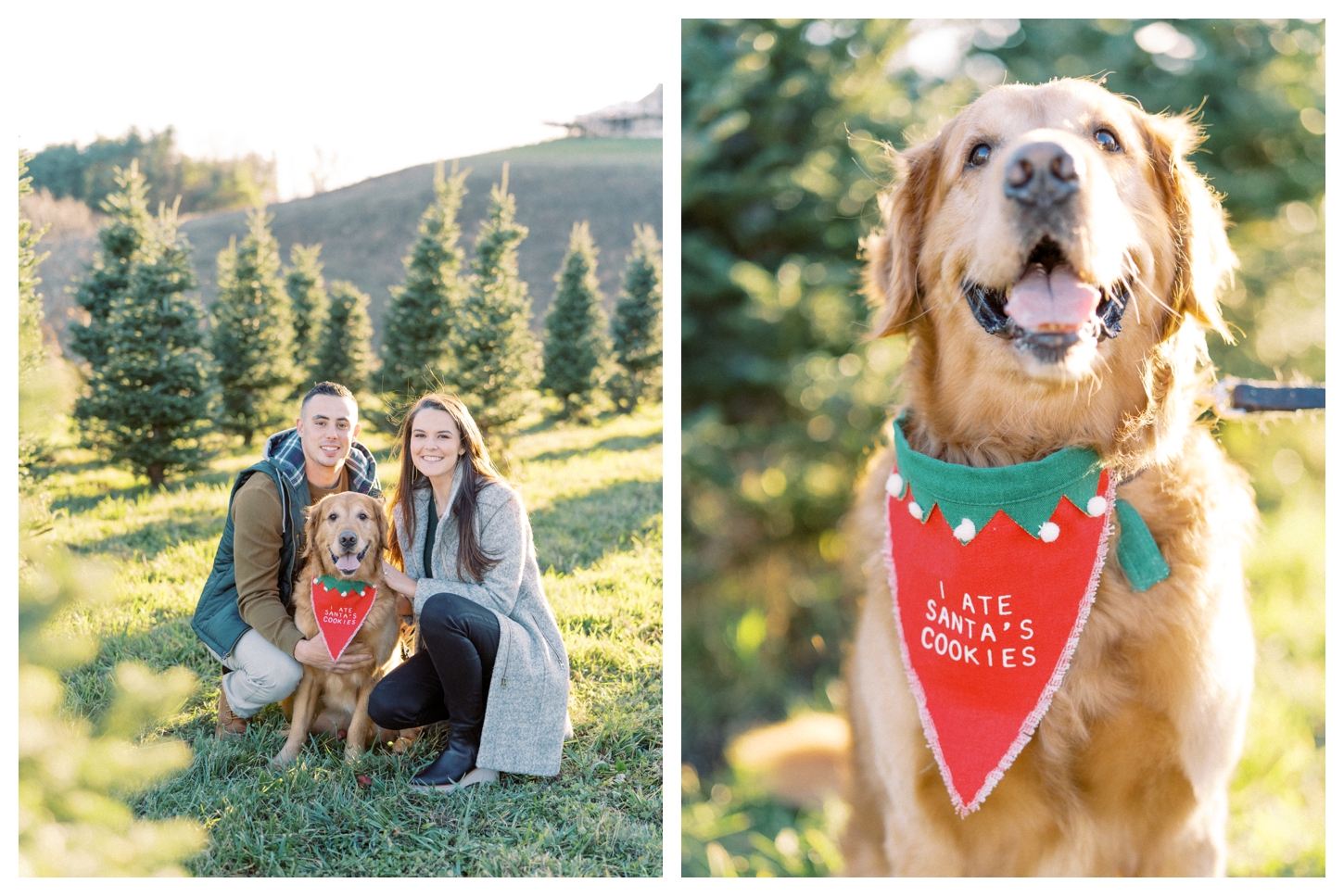 12 Ridges Vineyard Couples Portrait Photographer