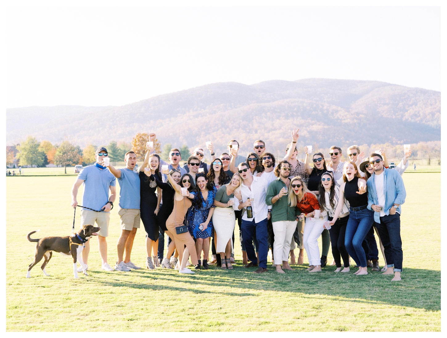 King Family Vineyards proposal photographer