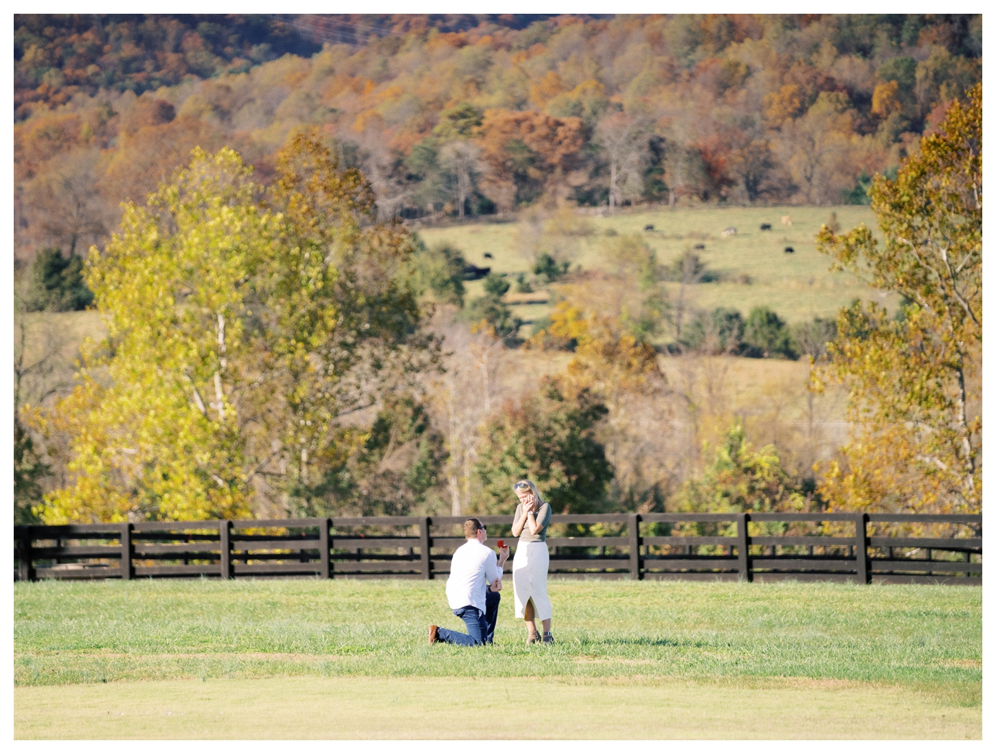 King Family Vineyards proposal photographer