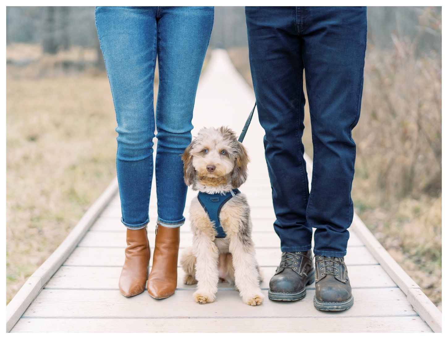 Manassas Battlefield engagement photos