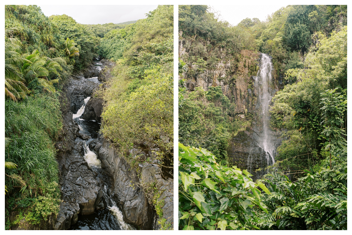 Maui Hawaii photographer