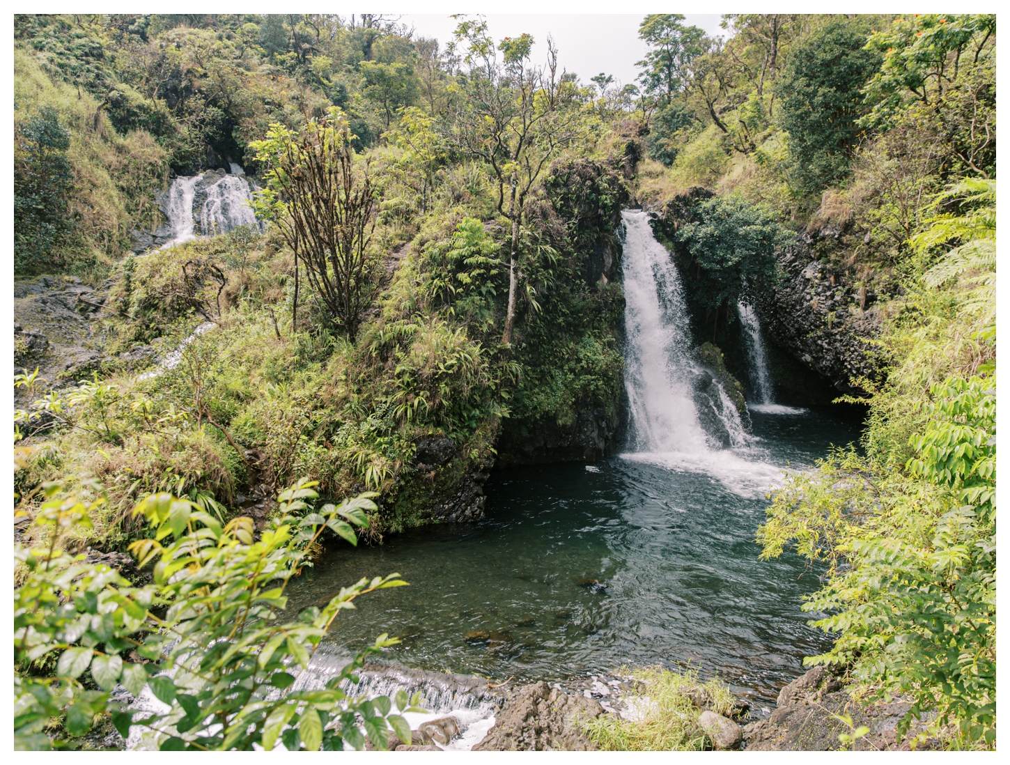 Maui Hawaii photographer