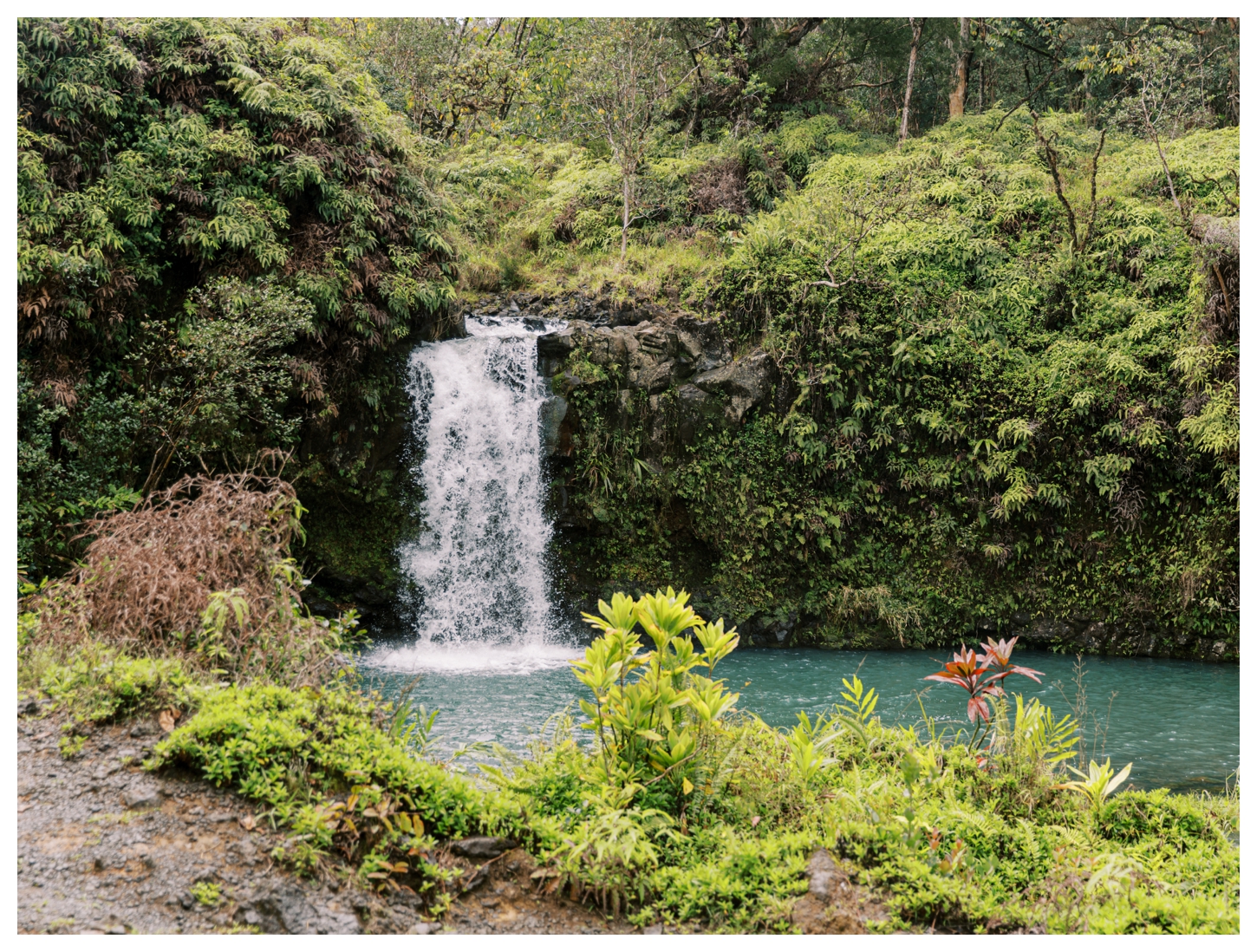 Maui Hawaii photographer